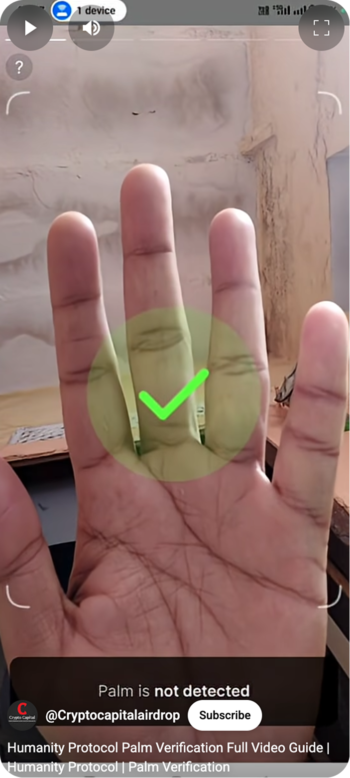 Palm verification